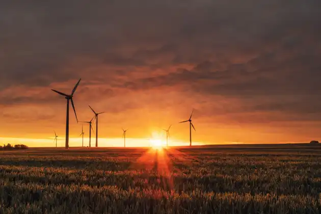 A field with wind turbines at sunset